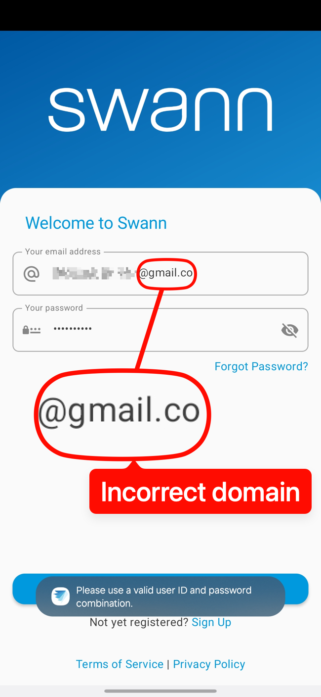 Failed to login due to incorrect domain