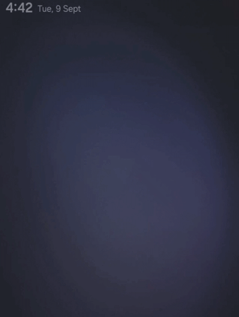 SwannSecurity-NMW.gif